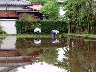 taue05.jpg (8608 oCg)